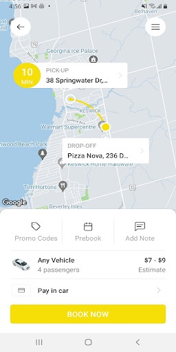 Georgina Cabs Screen 3