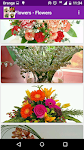 screenshot of 1000 flower arrangements