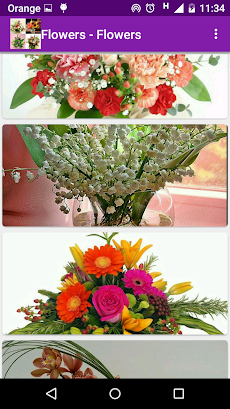 1000 flower arrangementsのおすすめ画像2