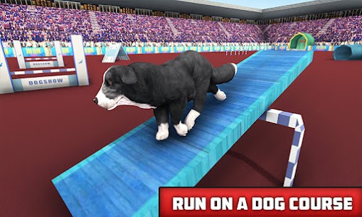 كلب تمرين ألعاب، كلب القفز 3D 3