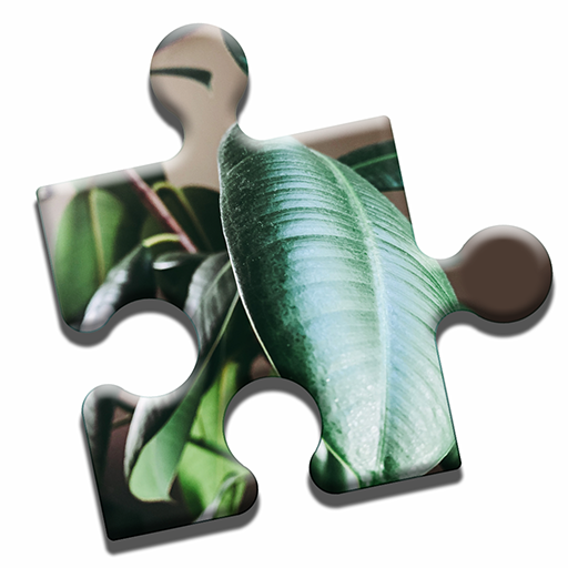 House Plants Puzzle Apps on Google Play