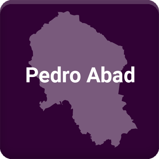 Pedro Abad logo