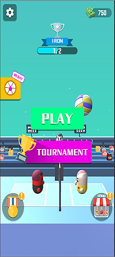 Amazing VolleyBall 3D