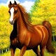 Horse Wallpaper 4K Download on Windows
