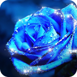 Blue Rose Theme  -  AppLock icon