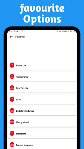 USA Insurance Screen 2