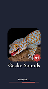 Captura de Pantalla 1 sonidos de gecko android