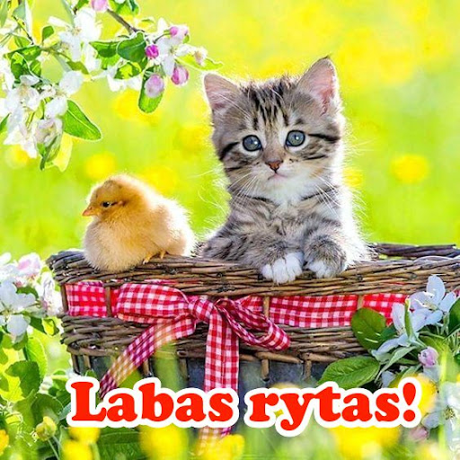 Android application Labas rytas screenshort