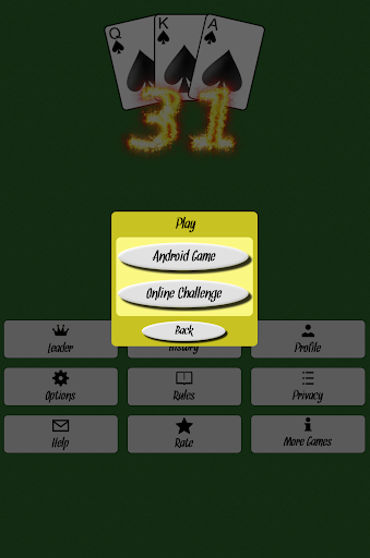 31 - Card Game screenshot 17
