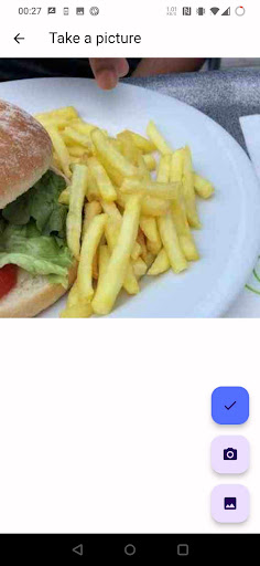 Nutrisnap Screen 2