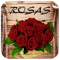 Rosas y Claveles para Compartir