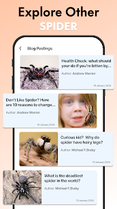 Spider Identifier: Insect ID 5
