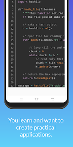 Screenshot image