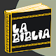 Latin-American Bible
