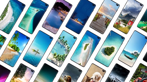 Wallpapers Full HD - Backgroun