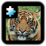 Jigsaw Puzzle: Tiger icon