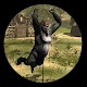 大猩猩猎人游戏：狙击枪射击