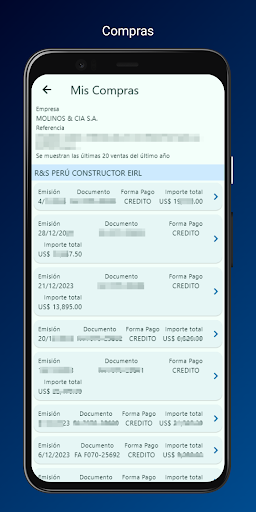 MoliVentas Screen 2