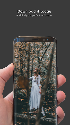 Autumn Wallpapers 8K ULTRA