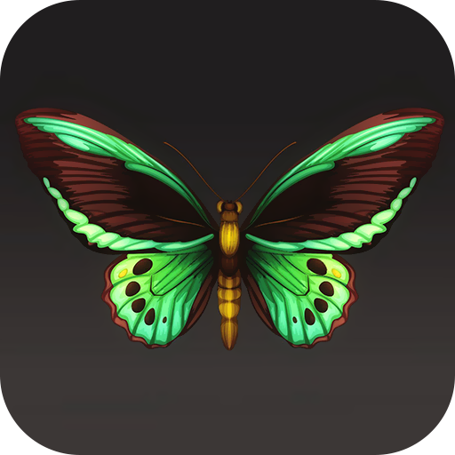 Butterfly Wallpaper 2024 logo