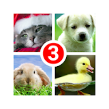 Guess the word 3! ~ 4 Pictures icon