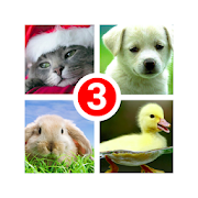 Guess the word 3! ~ 4 Pictures  Icon