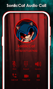 Scary Video Call Soniic Cat