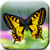 Butterflies Catch Craze 3D icon