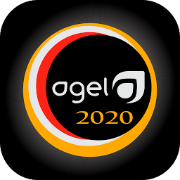 Icon image AGEL 2020
