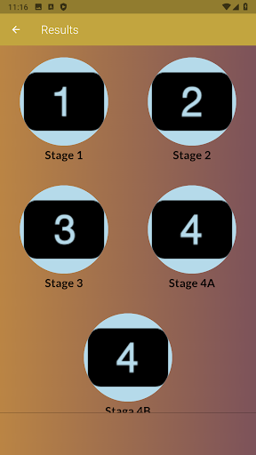 Sibiu Cycling Tour Screen 3