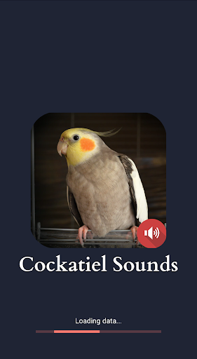 Android application Cockatiel Sounds screenshort