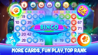 Game screenshot Bingo Wild - Animal BINGO Game hack