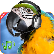 Bird Calls, Sounds & Ringtones for mind relaxation