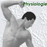 Physiokompendium Physiologie