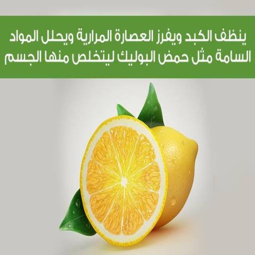 معلومه فى صوره Screen 3