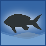 Fishing Journal icon