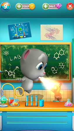 Game screenshot マイ・トーキング・Bob 猫 hack