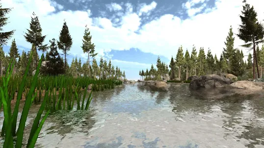 VR Forest Relaxation 1