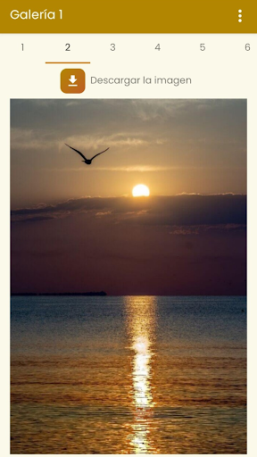 Fondos de Pantalla Gaviotas 1. Screen 2