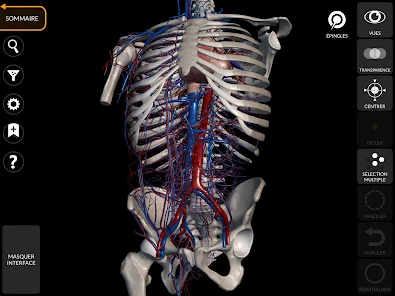 Anatomie - Atlas 3D – Applications sur Google Play