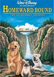 Icon image Homeward Bound: The Incredible Journey