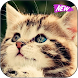 Cute Cats Wallpaper - Androidアプリ
