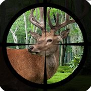 Deer Hunting - Expert Shooting 3D