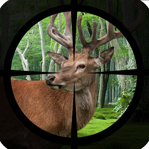 Deer Hunting - Expert Shooting 3D icon