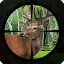 Deer Hunting - Expert Shooting
