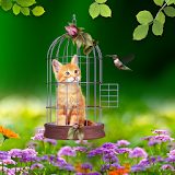 Cat and Hummingbirds Wallpaper icon