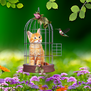 Top 37 Personalization Apps Like Cat and Hummingbirds Wallpaper - Best Alternatives
