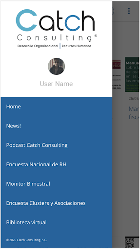 Catch Consulting App Screen 2