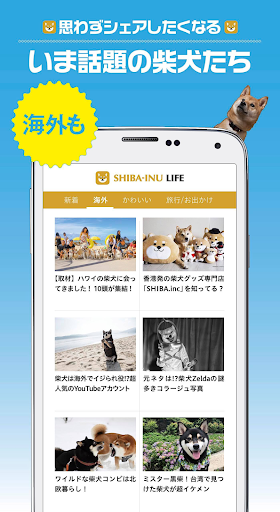 柴犬ライフ:100％柴犬情報メディア Screen 2