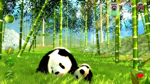 Talking Pandas Screen 2